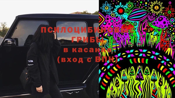 дживик Киренск